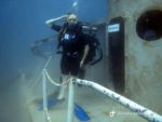 Diving, Diving, Dive Point Koh Tao Thailand - Tauchkurse und Sporttauchen