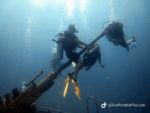 Diving, Diving, Dive Point Koh Tao Thailand - Tauchkurse und Sporttauchen