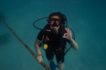 Diver girl Diving, Diving, Dive Point Koh Tao Thailand - Tauchkurse und Sporttauchen