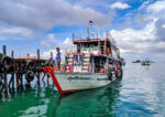 Boat at the pier Das Tauchboot, Das Tauchboot, Dive Point Koh Tao Thailand - Tauchkurse und Sporttauchen