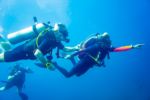 Instructor Alain Diving, Diving, Dive Point Koh Tao Thailand - Tauchkurse und Sporttauchen