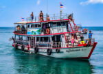 Diving boat Das Tauchboot, Das Tauchboot, Dive Point Koh Tao Thailand - Tauchkurse und Sporttauchen