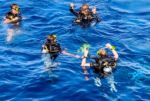 Erster Atemzug Unterwasser Diving, Diving, Dive Point Koh Tao Thailand - Tauchkurse und Sporttauchen