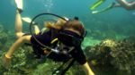 Diving, Diving, Dive Point Koh Tao Thailand - Tauchkurse und Sporttauchen